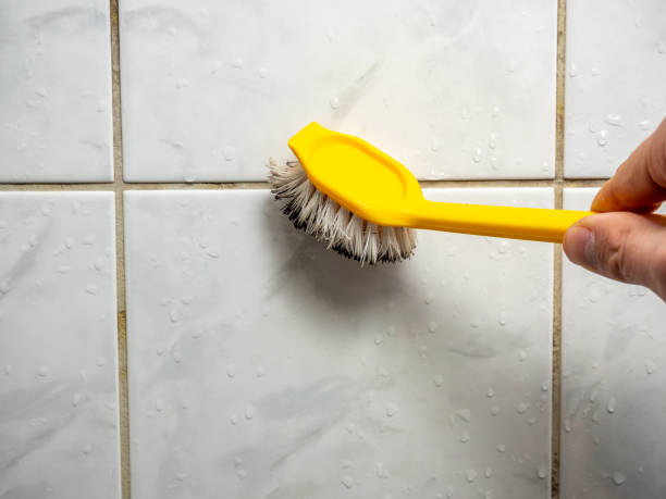 Best Fast Mold Removal  in Garland, UT