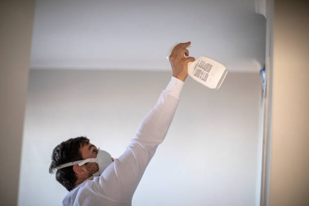 Best Affordable Mold Removal  in Garland, UT