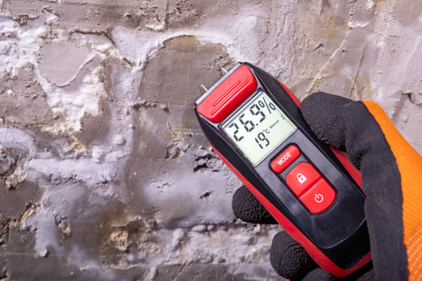 Best Toxic Mold Removal  in Garland, UT