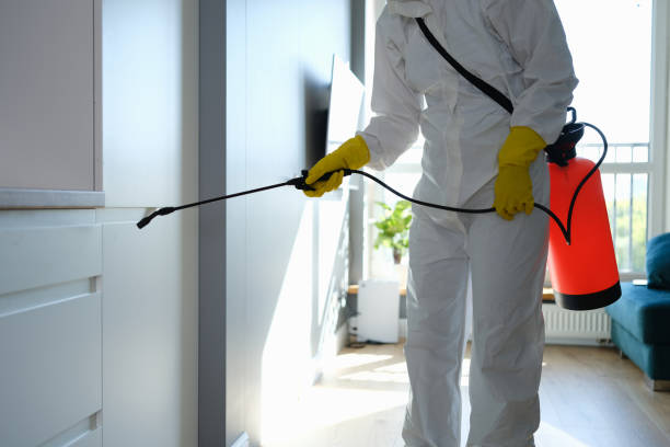 Best Commercial Mold Removal  in Garland, UT
