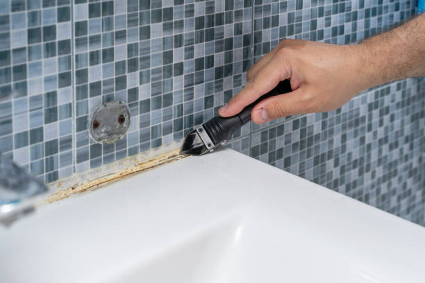  Garland, UT Mold Removal Pros